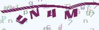 验证码